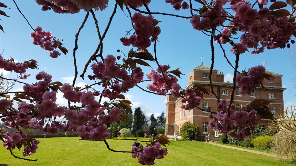 Spring is in the air