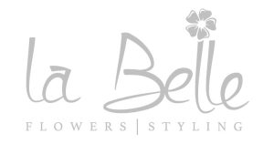 NEW LOGO small